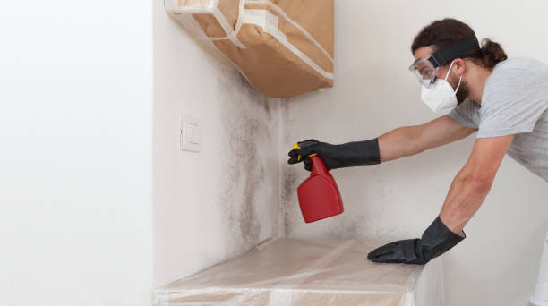 Professional Crawl Space Mold Remediation technician working in Everett, MA