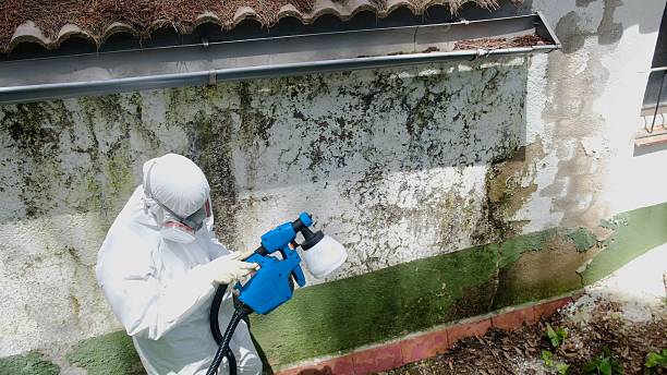 Top rated local Crawl Space Mold Remediation specialists in Everett, MA